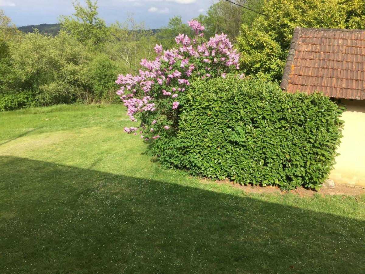 Bed and Breakfast Domaine De Lascaux Montignac-Lascaux Exterior foto